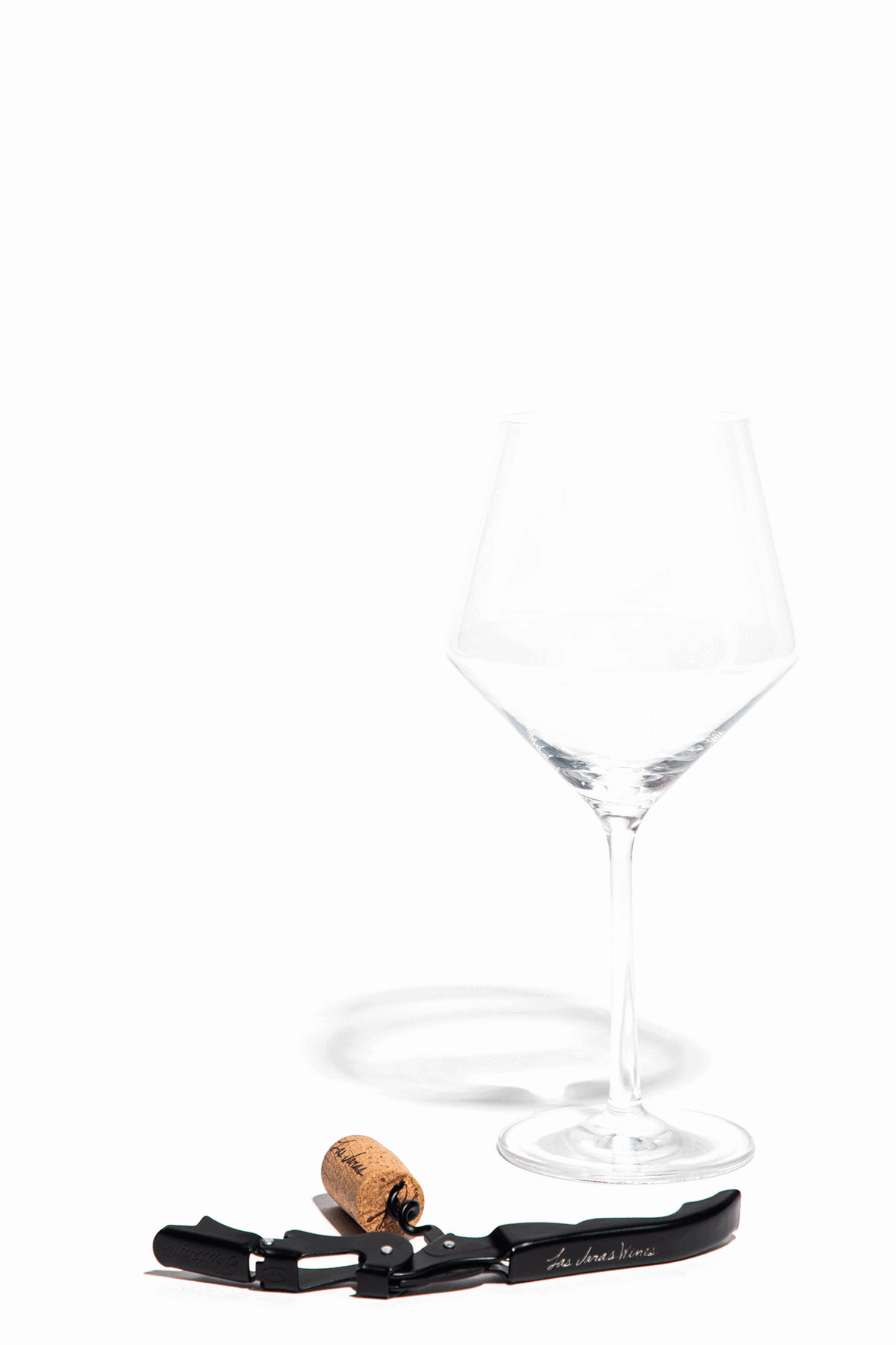 2024 Slipper Sippers Nouveau